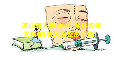 凉山朝天鼻 🌹 整形价格大揭秘(朝天鼻整形价钱)